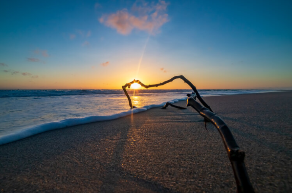 night swimming beach photo