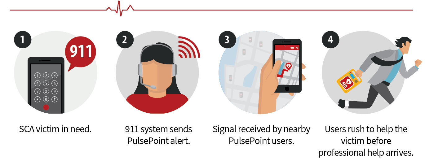 PulsePoint Infographic LG