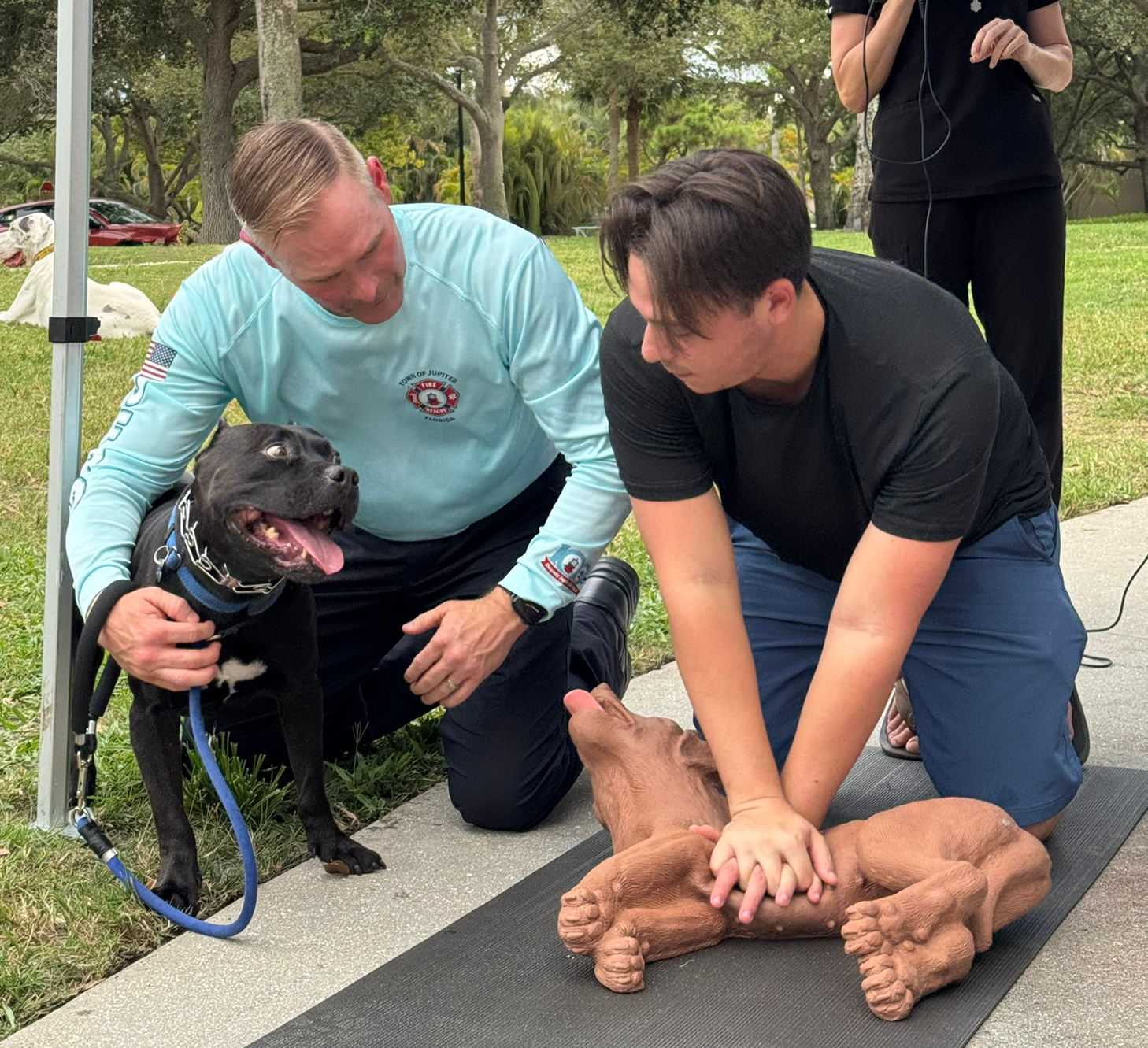 CanineCareattheBeach