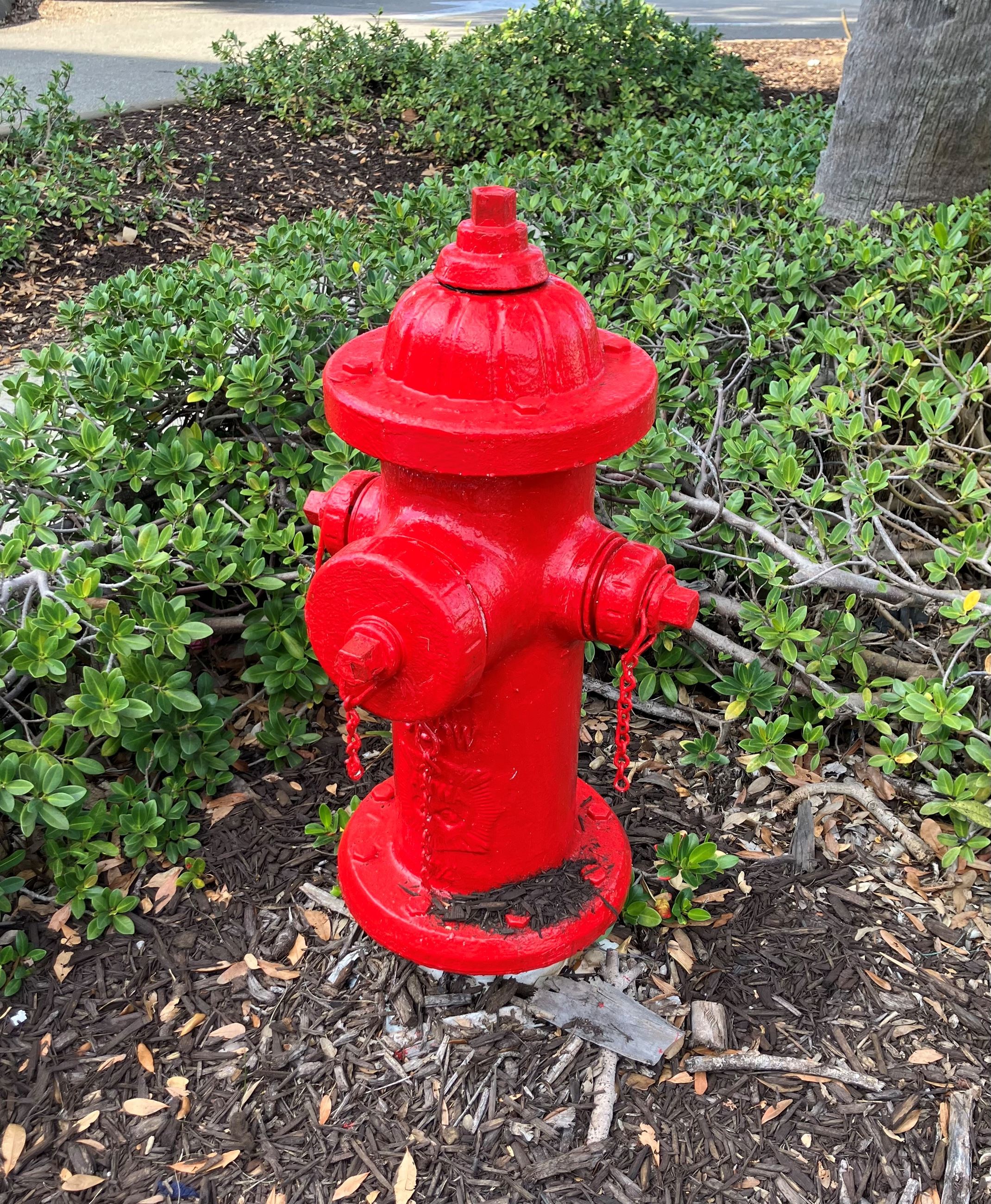 Red Fire Hydrant