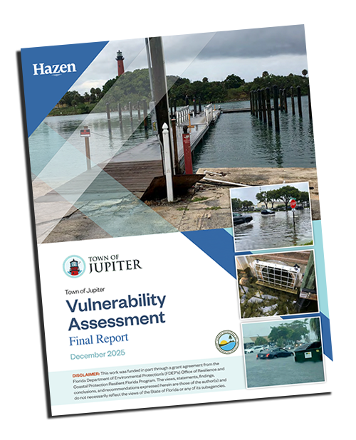 Comprehensive Vulnerability Final Report