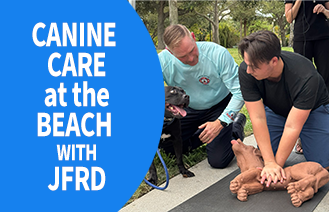 Canine Care at the Beach - JFRD Performing CPR Training at the Beach