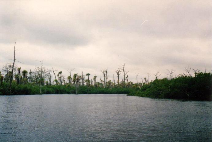 Loxahatchee River (6)
