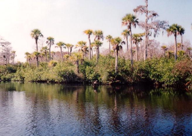 Loxahatchee River (2)